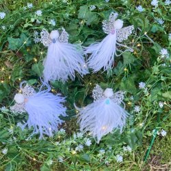 Nala - �rsengel 2024