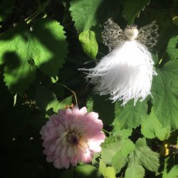 Guardian Angel Matte Pink