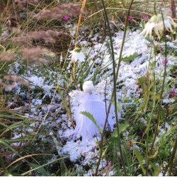 Guardian Angel Pearly White