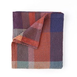 Pledd - Vrou-Vrou Nebula