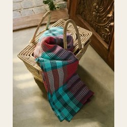 Scout - farge Ladybug