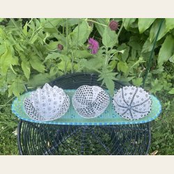 Ramekin Valmue Sort&Hvit