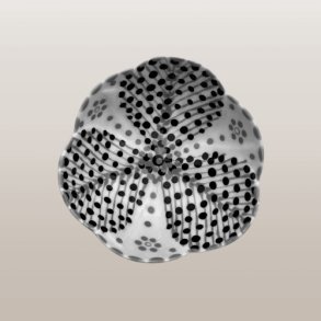 Ramekin Tulipan Sort&Hvit