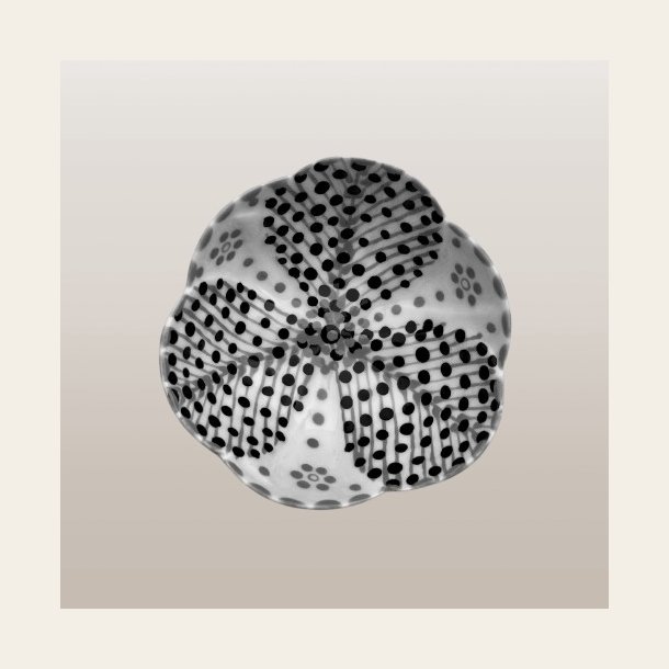 Ramekin Tulipan Sort&Hvit