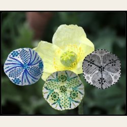 Liten sk�l - Valmue