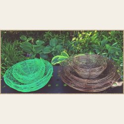 Professors gr�nne kurv 