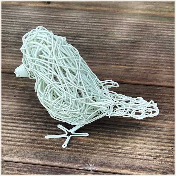 Kremfarget spurvelurv