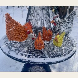 Professors ivrige oransje kylling