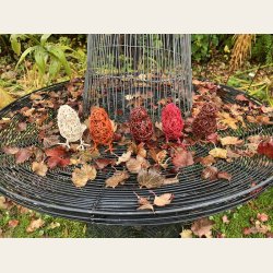 Et knippe med hagefugler