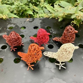 Et knippe med hagefugler