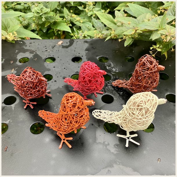 Et knippe med hagefugler