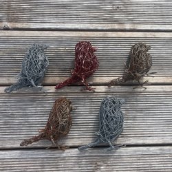 En h�stlig fuglekvintett - 5