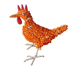 Professors ivrige oransje kylling