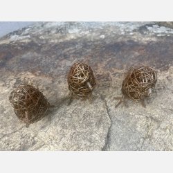 En trio med spurvelurver