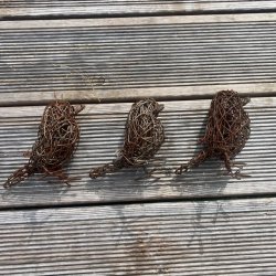 En trio med spurvelurver