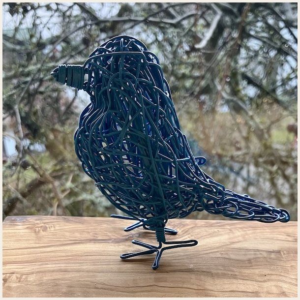 Himmelbl� spurvelurv