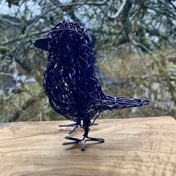 Kongebl� spurvelurv