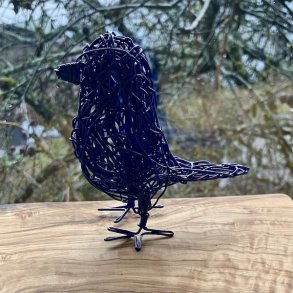 Kongebl� spurvelurv