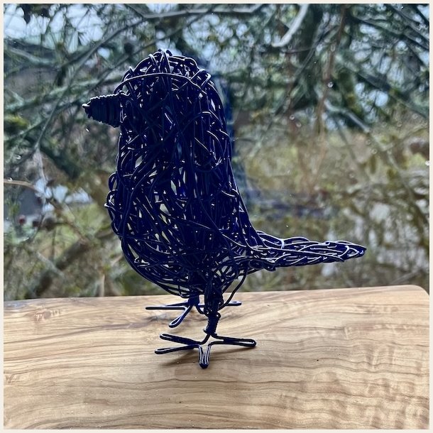 Kongebl� spurvelurv