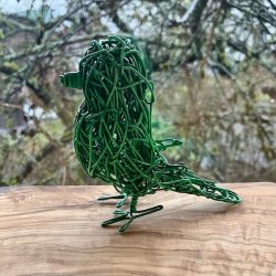 Lysegr�nn spurvelurv