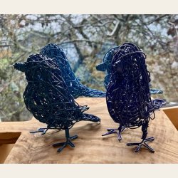 Kongebl� spurvelurv