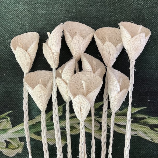 Arun-liljer i sisal - 10 stk